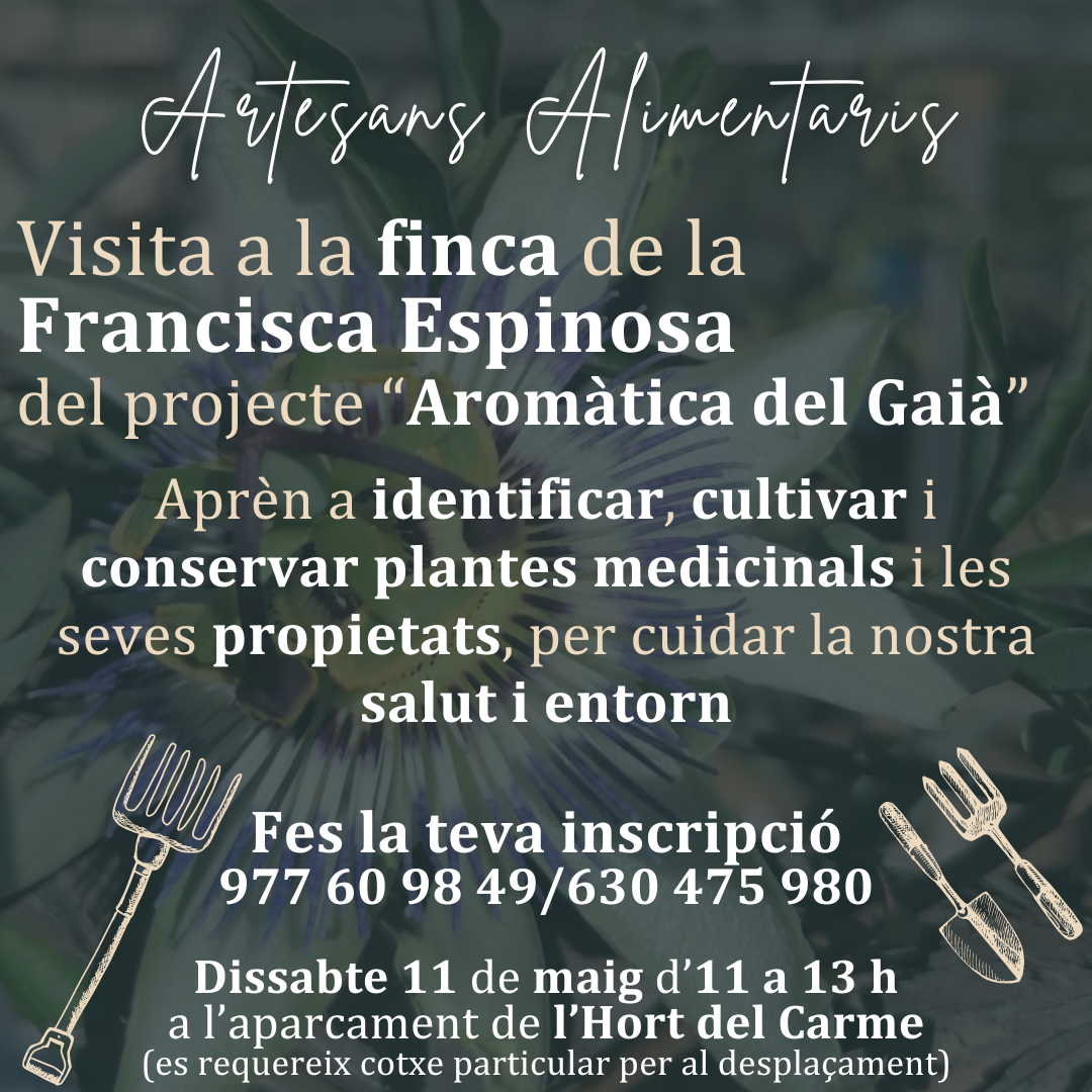 ARTESANS ALIMENTARIS FINCA FRANCISCA P24